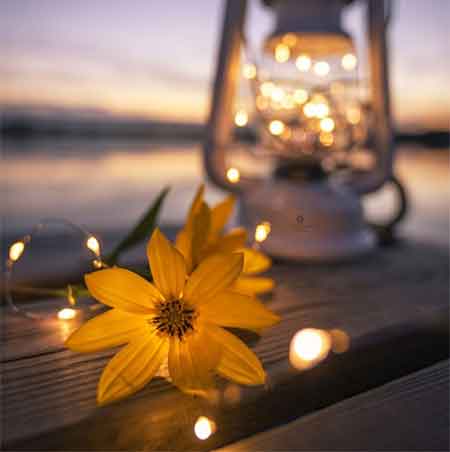 دانلود آهنگ دل بی‌کس محمدحسین زاده